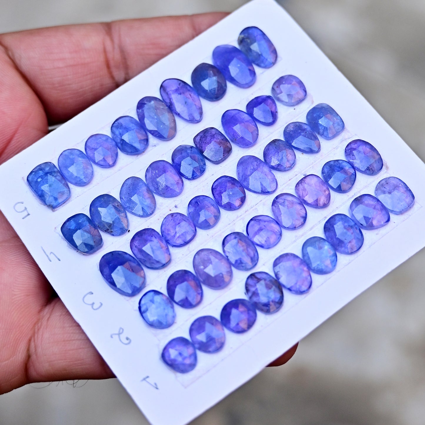 Tanzanite Rosecut 8x12mm and 8x14mm Freeform Shape AA Grade Gemstone Strip-Total 9 Pcs in one strip