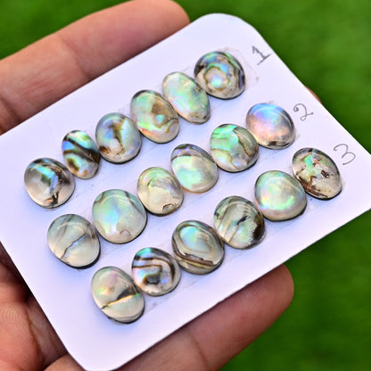 105,8 ct. Abalone-Muschel, glatter Cabochon, 13 x 18 mm – 12 x 16 mm, Edelsteinpaket der Güteklasse AA, insgesamt 10 Stück