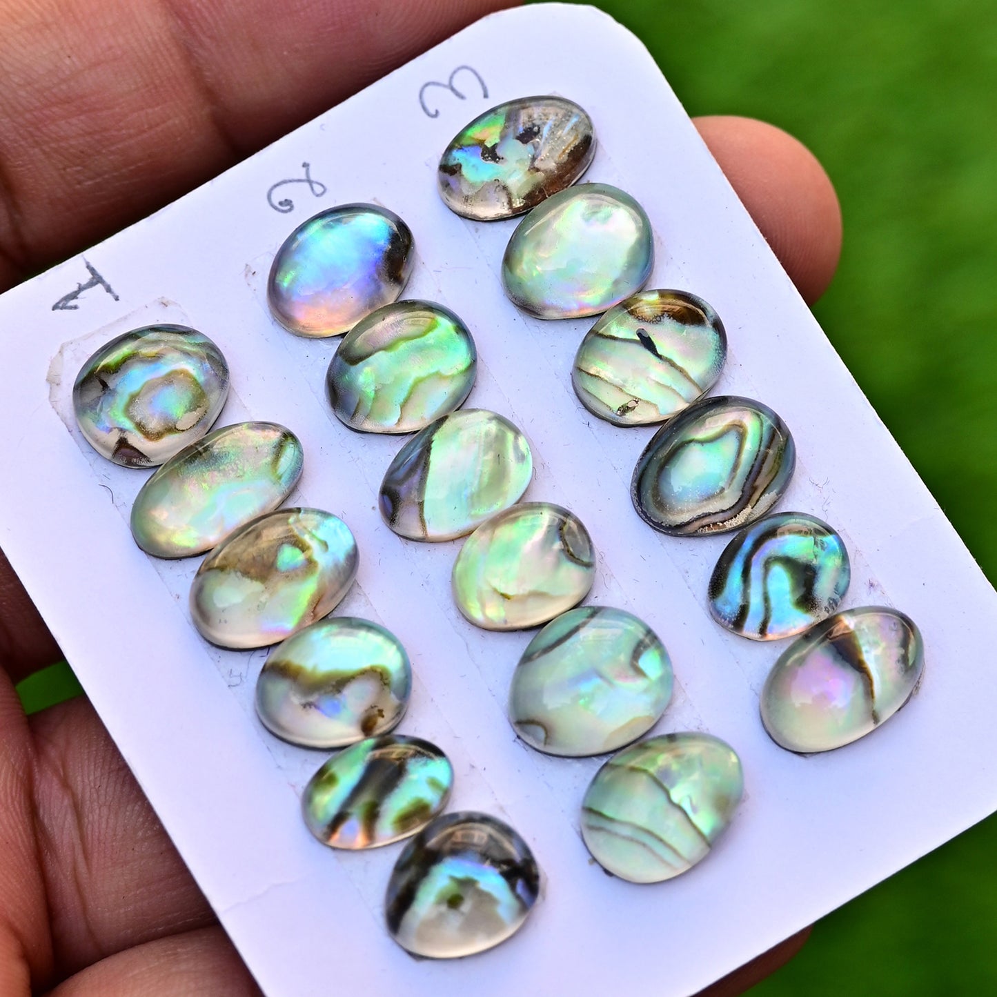 105,8 ct. Abalone-Muschel, glatter Cabochon, 13 x 18 mm – 12 x 16 mm, Edelsteinpaket der Güteklasse AA, insgesamt 10 Stück