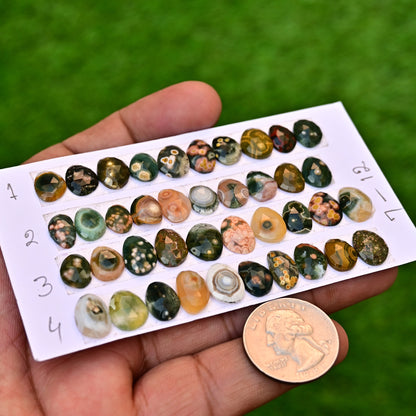 Ocean Jasper Freeform Shape Rosecut 7-12mm AA Grade Gemstone Strip - Total 10 Pcs in One Strip