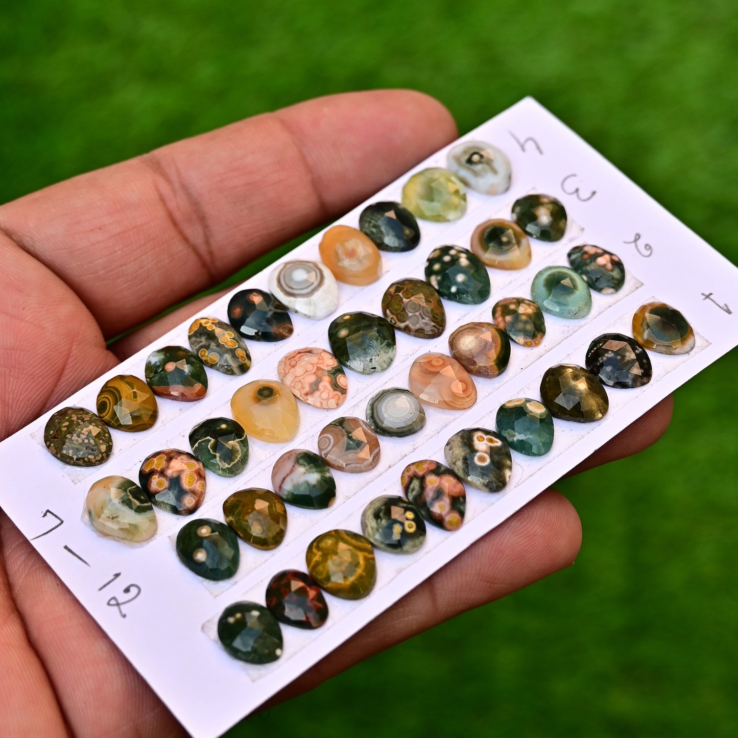 Ocean Jasper Freeform Shape Rosecut 7-12mm AA Grade Gemstone Strip - Total 10 Pcs in One Strip