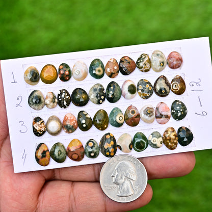 76,75 Karat Ozeanjaspis, Cabochon in gemischter Form, 14 x 19 mm – 10 x 14 mm, Edelsteinpaket der Güteklasse AA – insgesamt 15 Stück