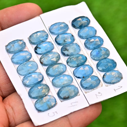 Aqua Kyanite Rose Cut Cabochon Oval Shape 8x12mm AA Grade Gemstone Strip - Total 6 Pcs in One Strip