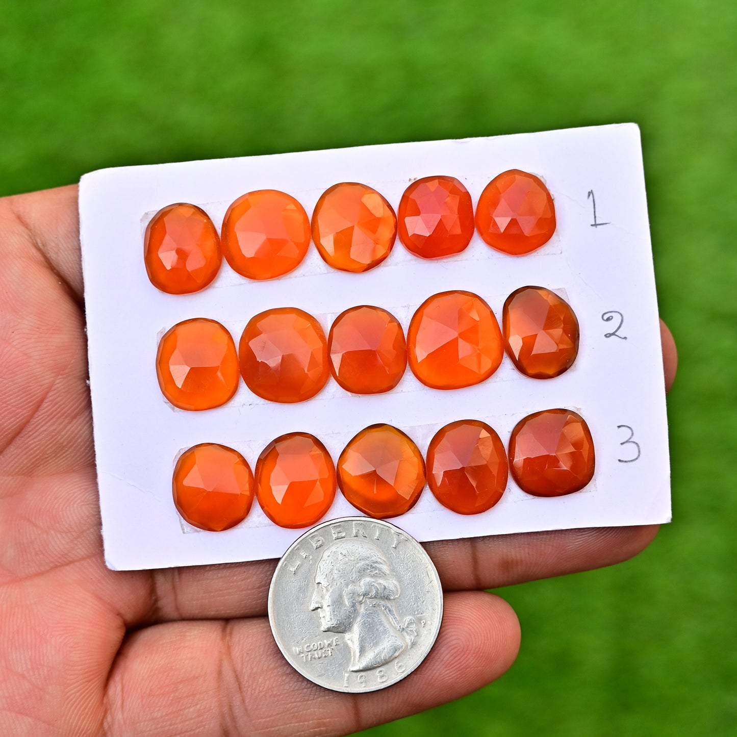 Carnelian Cabochons Freeform Shape  14mm-10mm AA Grade Gemstone Strip Set -Total 5 Pcs in one strip