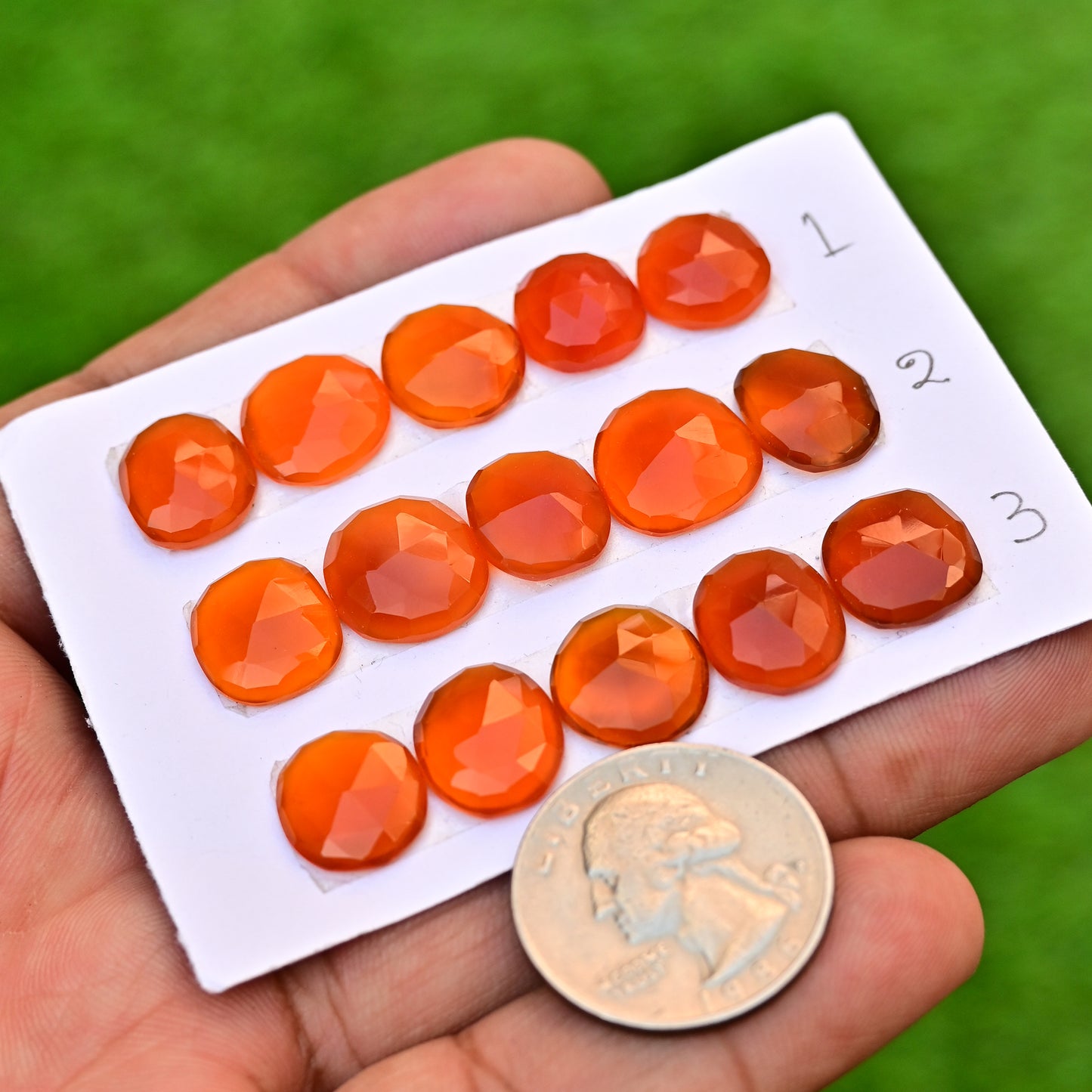 Carnelian Cabochons Freeform Shape  14mm-10mm AA Grade Gemstone Strip Set -Total 5 Pcs in one strip