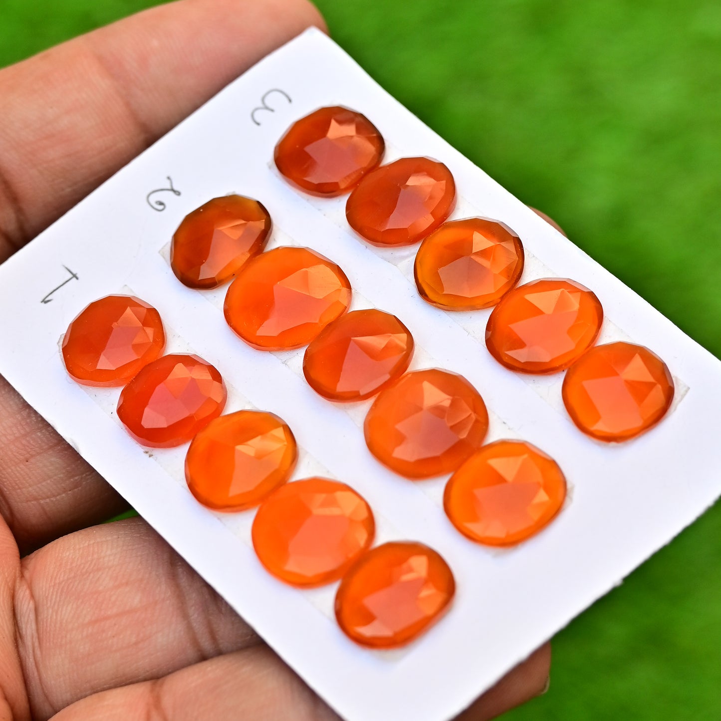 Carnelian Cabochons Freeform Shape  14mm-10mm AA Grade Gemstone Strip Set -Total 5 Pcs in one strip