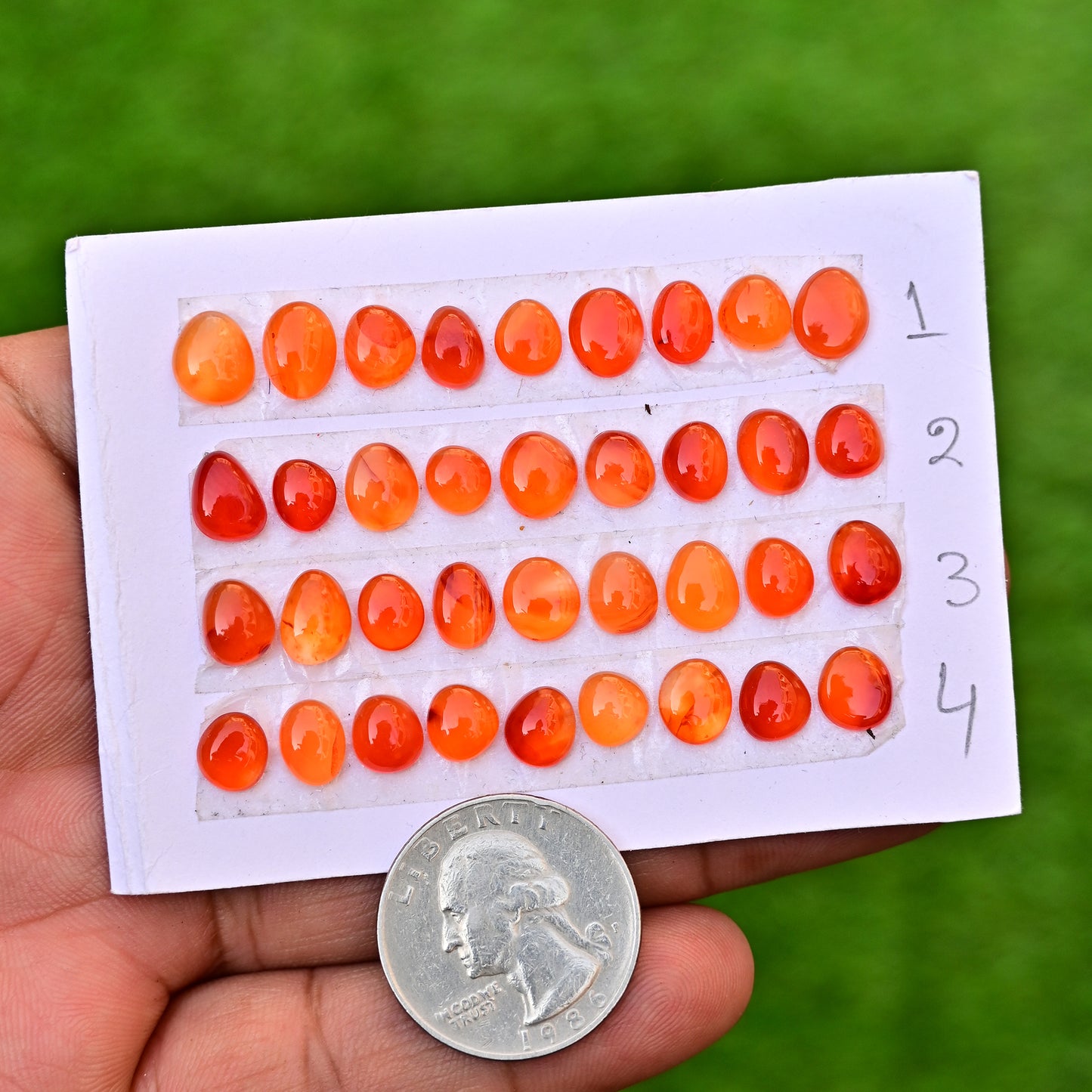 Carnelian Cabs Freeform Shape  9x7mm-8x6mm AA Grade Gemstone Strip -Total 9 Pcs in one strip