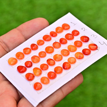 Carnelian Cabs Freeform Shape  9x7mm-8x6mm AA Grade Gemstone Strip -Total 9 Pcs in one strip