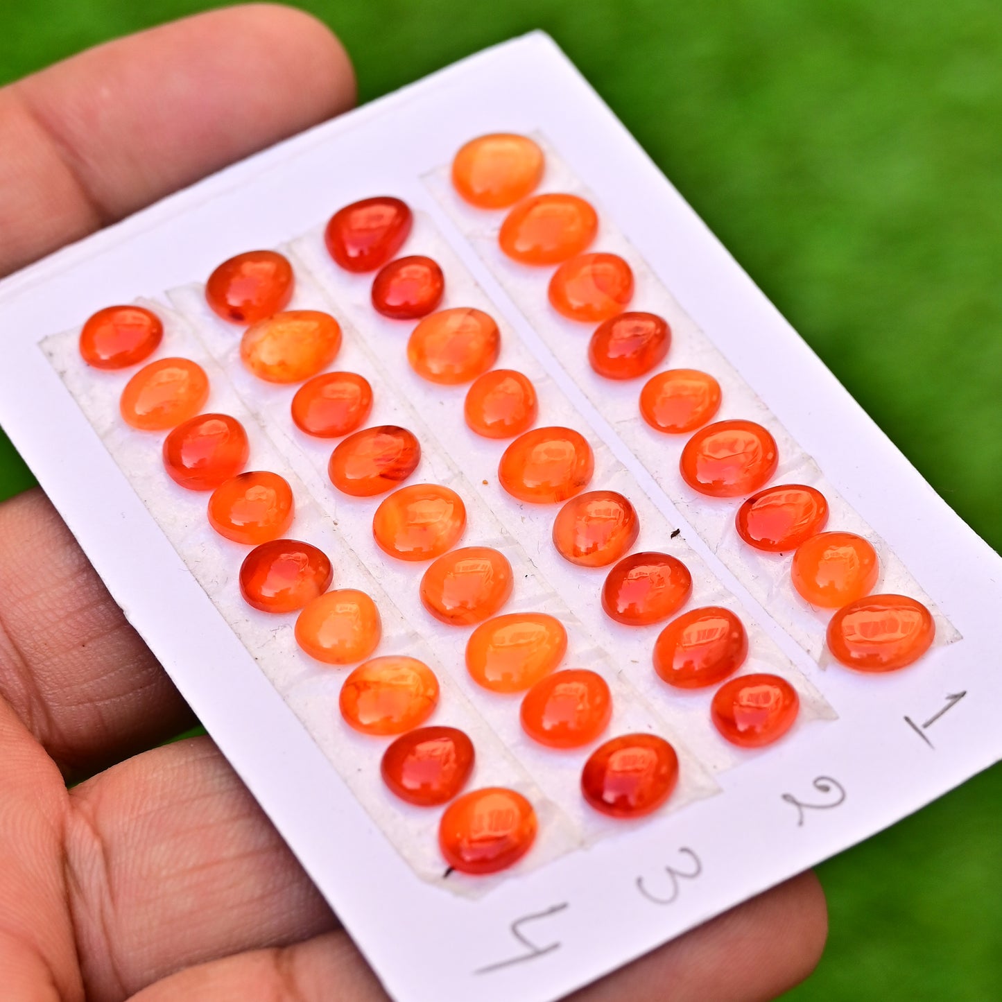 Carnelian Cabs Freeform Shape  9x7mm-8x6mm AA Grade Gemstone Strip -Total 9 Pcs in one strip