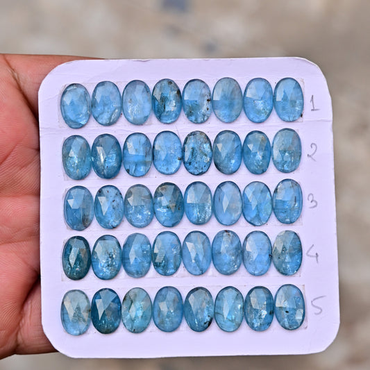 Aqua Kyanite Rose Cut Cabochon Oval Shape 8x12mm Grade Gemstone Strip - Total 8 Pcs in Strip