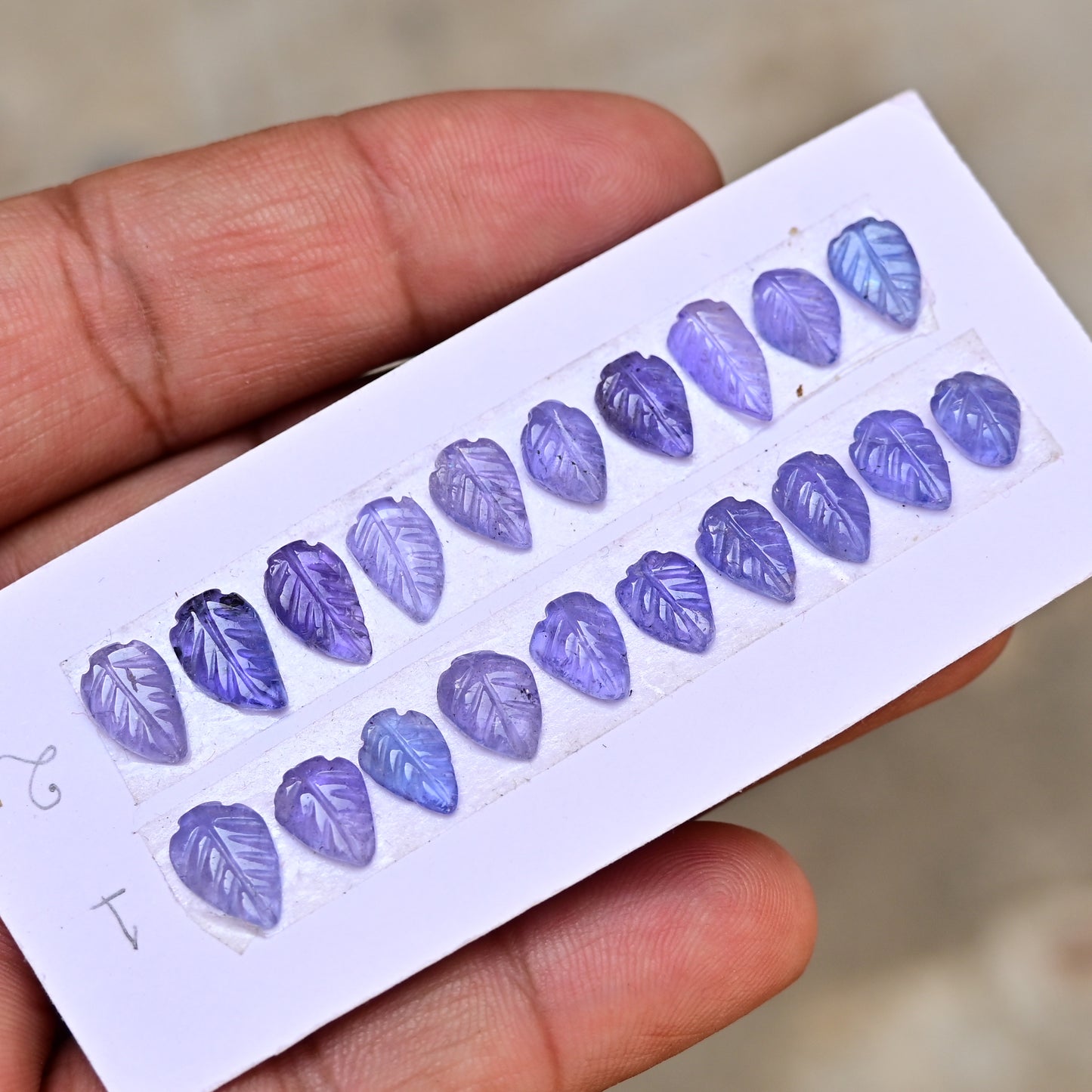 Tanzanite Leaf Carving 6x10mm Leaf Shape AA Grade Gemstone Strip - Total 10 Pcs in one strip