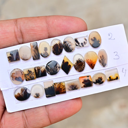 Scenic Dendrite Agate 6mm - 13mm Cabochon AA Grade Gemstone Parcel - Total 8 Pcs in One Strip