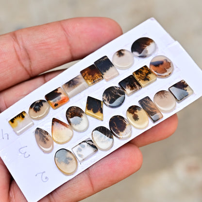 Scenic Dendrite Agate 6mm - 13mm Cabochon AA Grade Gemstone Parcel - Total 8 Pcs in One Strip