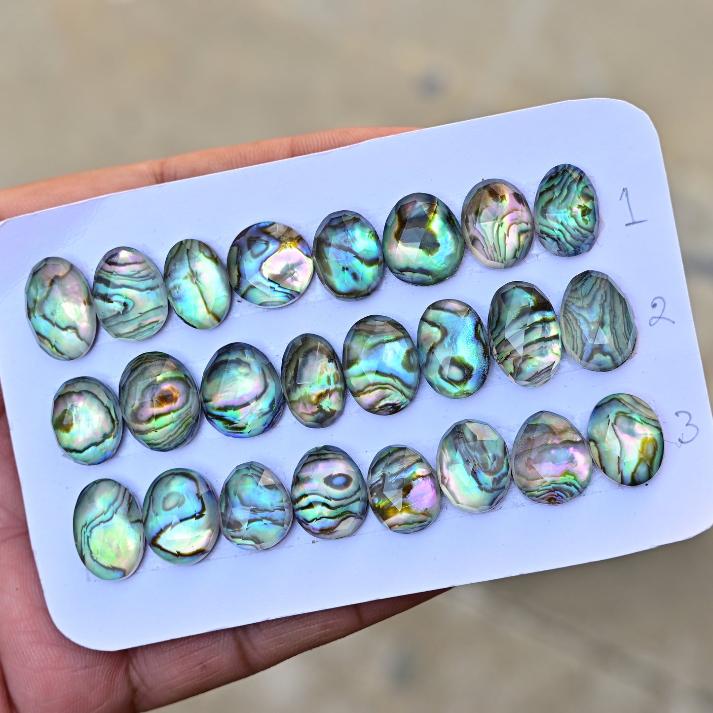 Abalone Shell Rosecut Cabochon 10mm - 16mm Oval Shape AA Grade Gemstone Parcel -Total 8 Pcs in one