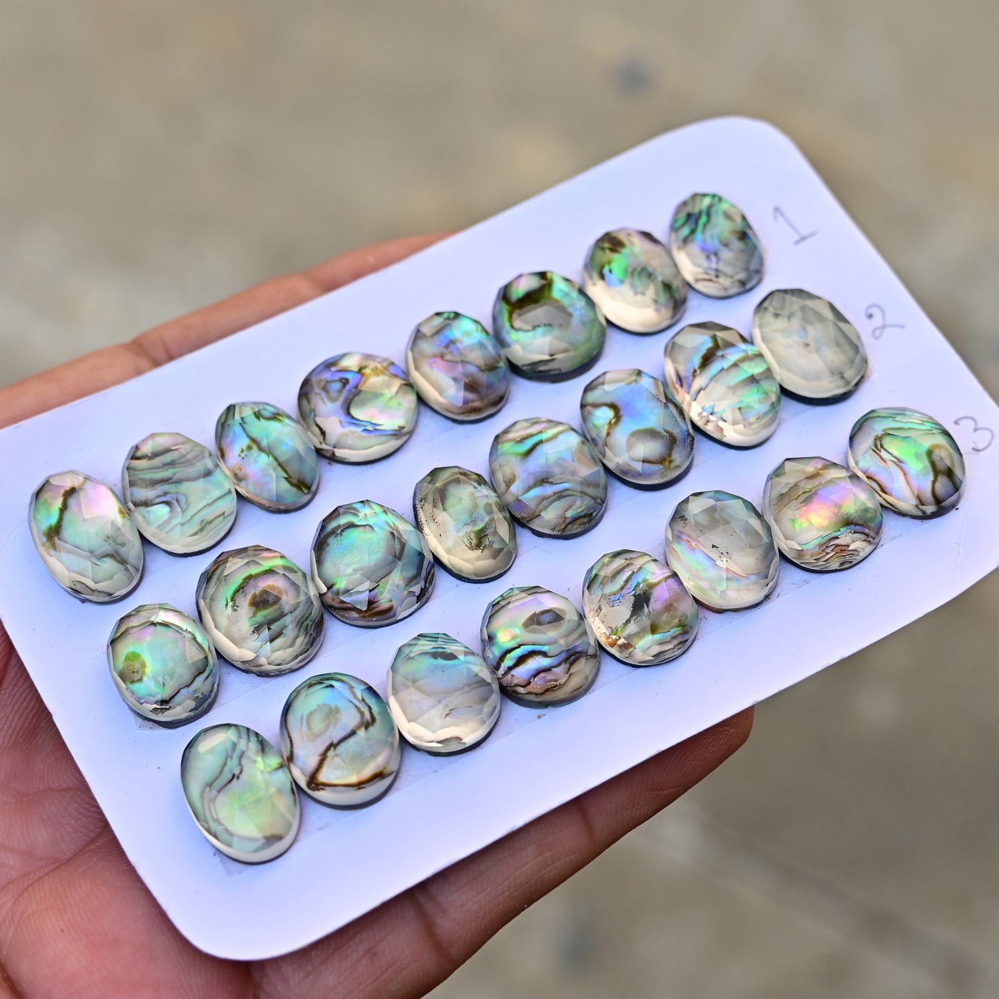 Abalone Shell Rosecut Cabochon 10mm - 16mm Oval Shape AA Grade Gemstone Parcel -Total 8 Pcs in one