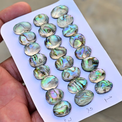 Abalone Shell Rosecut Cabochon 10mm - 16mm Oval Shape AA Grade Gemstone Parcel -Total 8 Pcs in one