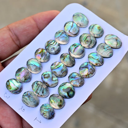 Abalone Shell Rosecut Cabochon 10mm - 16mm Oval Shape AA Grade Gemstone Parcel -Total 8 Pcs in one