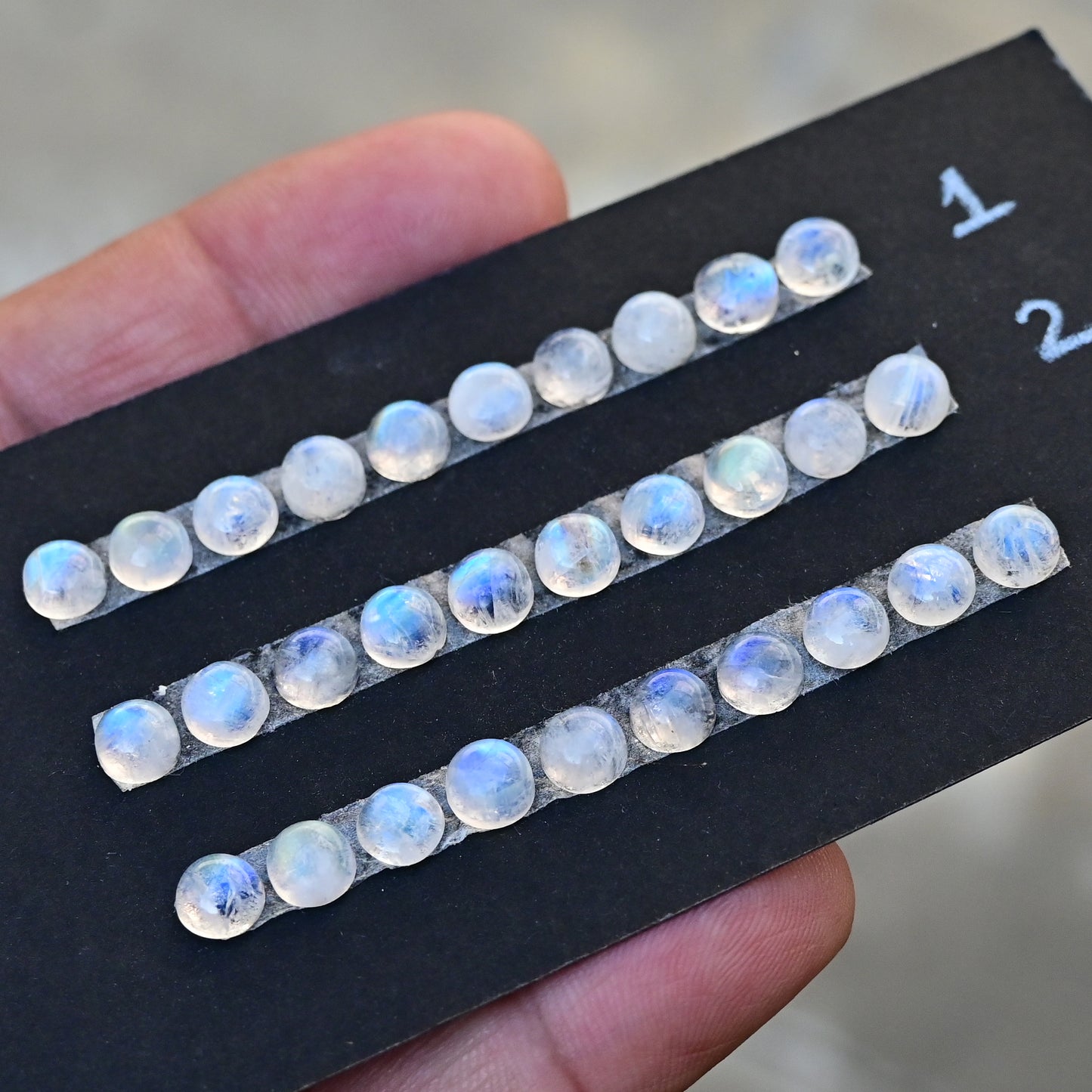 Rainbow Moonstone Smooth Cabochon 6x6mm Round Shape AA Grade Gemstone Strip -Total 10 Pcs in One Strip