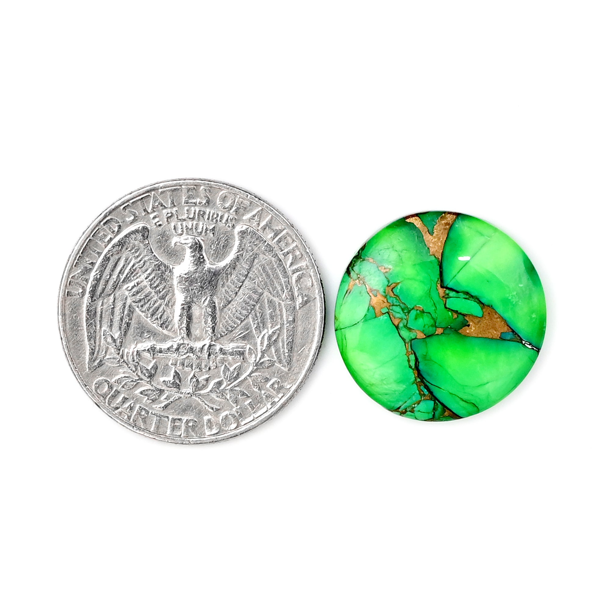 Round Smooth Cabochon for Jewelry | Natural Kingman Green Dahlia Turquoise Gemstone