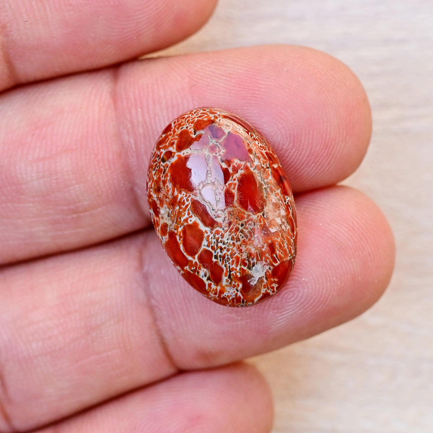 15.1cts Dinosaur Bone Gemstone Oval Shape Cabochon 22x16mm  AAA Grade Loose Gemstone Single  Piece For Jewelry Making