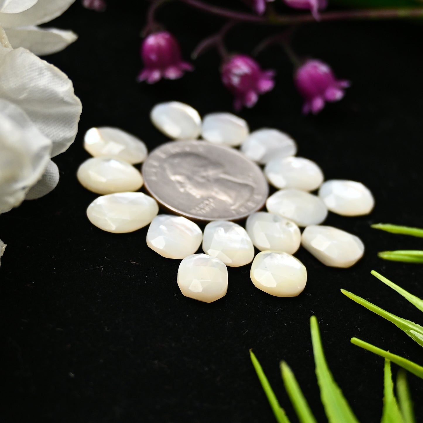 Mother of Pearl Rose Cut 9x11mm - 10x14mm