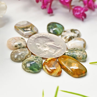 45cts Ocean Jasper Smooth Cabochons  Mix Shape Cabochon 10X13mm - 11x19mm AA Grade Gemstone Parcel - Total 10 Pcs