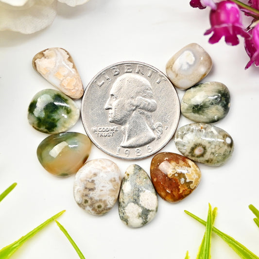 45.20cts Ocean Jasper Smooth Cabochons  Mix Shape Cabochon 9X11mm - 10x15mm AA Grade Gemstone Parcel - Total 9 Pcs