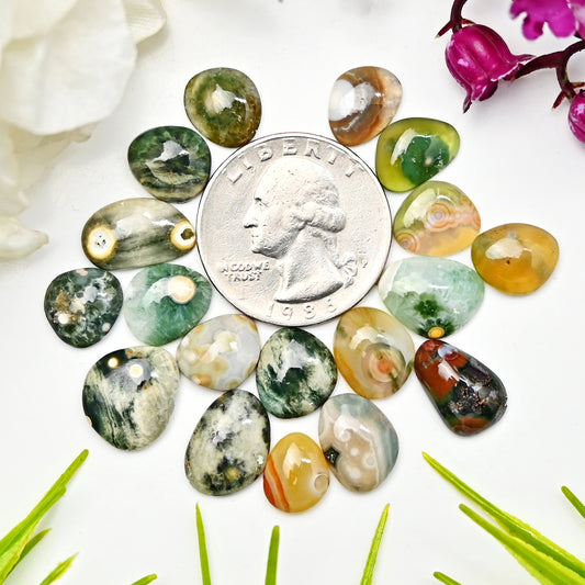 45.10cts Ocean Jasper Smooth Cabochons  Mix Shape Cabochon 8X10mm - 10x13mm AA Grade Gemstone Parcel - Total 18 Pcs