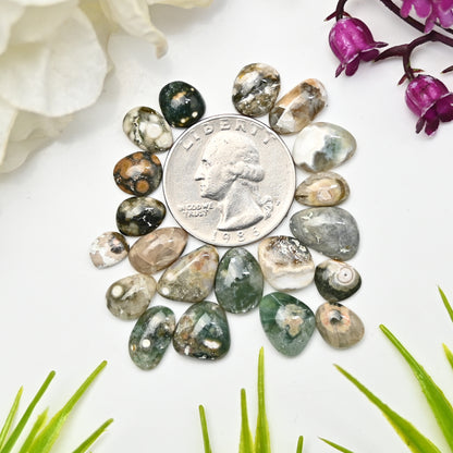 47.8cts Ocean Jasper Smooth Cabochons  Mix Shape Cabochon 6x7mm - 9x13mm AA Grade Gemstone Parcel - Total 20 Pcs