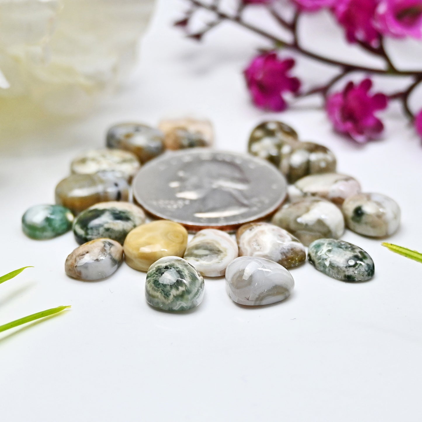 50.9cts Ocean Jasper Smooth Cabochons  Mix Shape Cabochon 7x11mm - 10x12mm AA Grade Gemstone Parcel - Total 19 Pcs