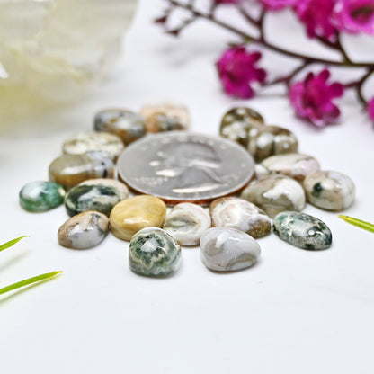 50.9cts Ocean Jasper Smooth Cabochons  Mix Shape Cabochon 7x11mm - 10x12mm AA Grade Gemstone Parcel - Total 19 Pcs