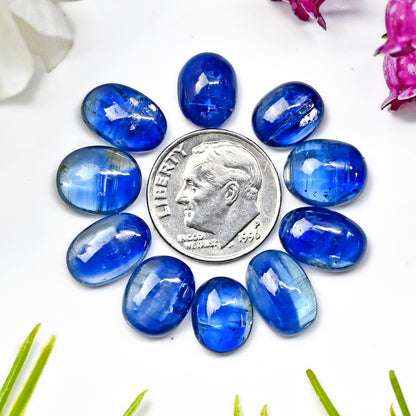 41 Karat. Blauer Kyanit-Cabochon, 9 x 11 mm – 8 x 12, ovale Form, Edelstein der Güteklasse AA, Paket – insgesamt 10 Stück