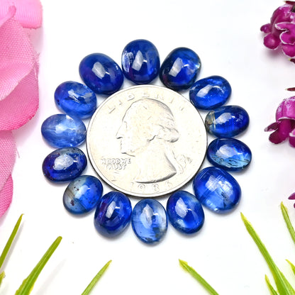 37,90 ct. Blauer Kyanit-Cabochon, 8 x 10 mm – 7 x 9 mm, ovale Form, Edelstein der Güteklasse AA, Paket – insgesamt 14 Stück