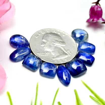 26,30 ct. Glatter blauer Kyanit-Cabochon, gemischte Form, 7 x 9 mm – 6 x 12 mm, Edelsteinpaket der Güteklasse AA, insgesamt 9 Stück