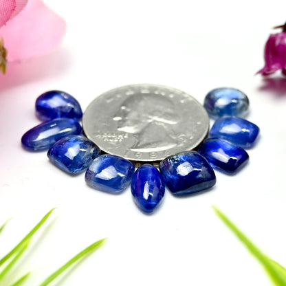 26,30 ct. Glatter blauer Kyanit-Cabochon, gemischte Form, 7 x 9 mm – 6 x 12 mm, Edelsteinpaket der Güteklasse AA, insgesamt 9 Stück