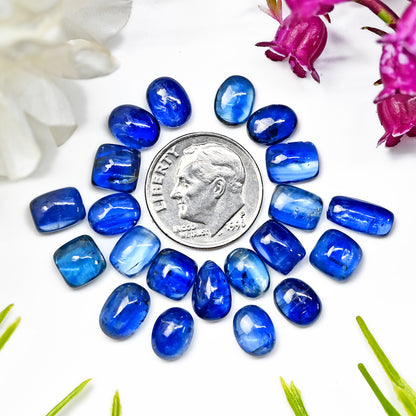 40,40 ct. Blauer Kyanit-Cabochon, 5 x 10 mm, 6 x 9 mm, gemischte Form, Edelstein der Güteklasse AA, Paket – insgesamt 21 Stück