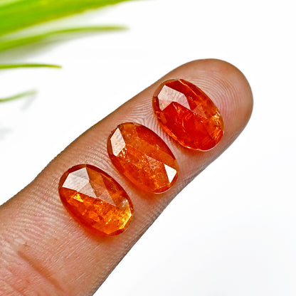 41,50 ct. Orangefarbener Kyanit im Rosenschliff, 8 x 12 mm, ovale Form, Edelsteinklasse AA, Paket – insgesamt 13 Stück.