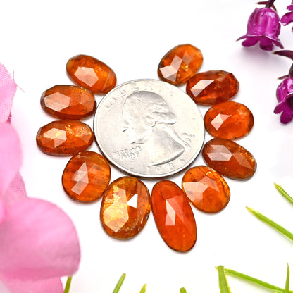 39.60cts. Orange Kyanite Rose Cut Cabs 10x14mm - 8x16mm Oval Shape AA Grade Gemstone Parcel - Total 11 Pcs.