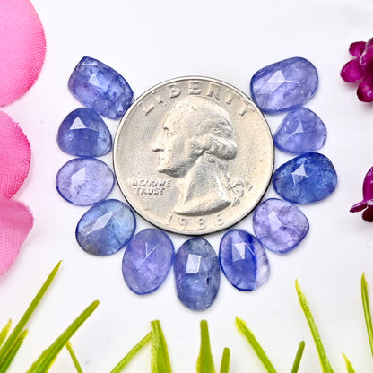 24.3cts Tanzanite Rosecut 7x9mm - 8x11mm Freeform Shape AA Grade Gemstone Parcel - Total 14 Pcs