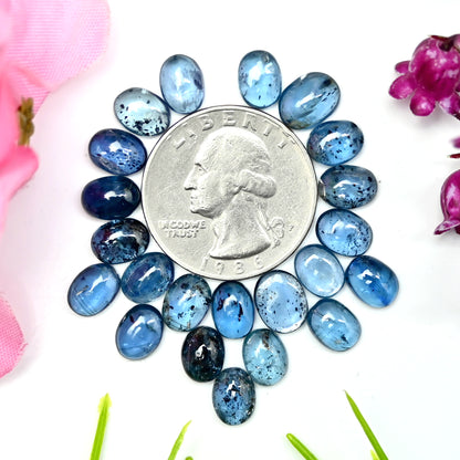 37,4 ct blaugrüner Moos-Kyanit, glatter Cabochon, 6 x 8 mm – 7 x 9 mm, ovale Form, Edelstein der Güteklasse AA, Paket – insgesamt 22 Stück