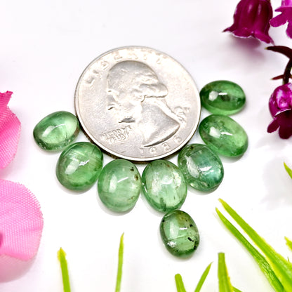 22,60 ct grüner Kyanit, glatter Cabochon, 7 x 9 mm – 8 x 10 mm, ovale Form, Edelsteinpaket der Güteklasse AA, insgesamt 8 Stück