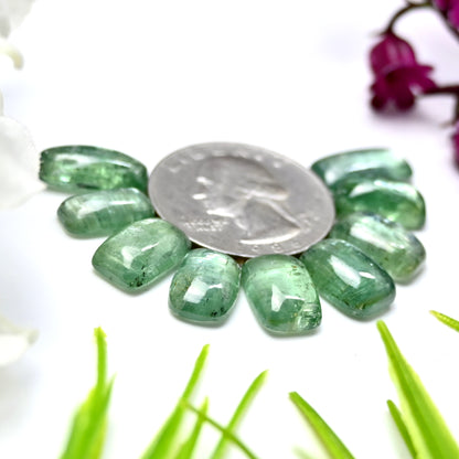 41,70 ct. Grüner Kyanit, 7 x 14 mm, glatte Cabochons, Baguette-Form, AA-Qualität, Edelsteinpaket – insgesamt 9 Stück