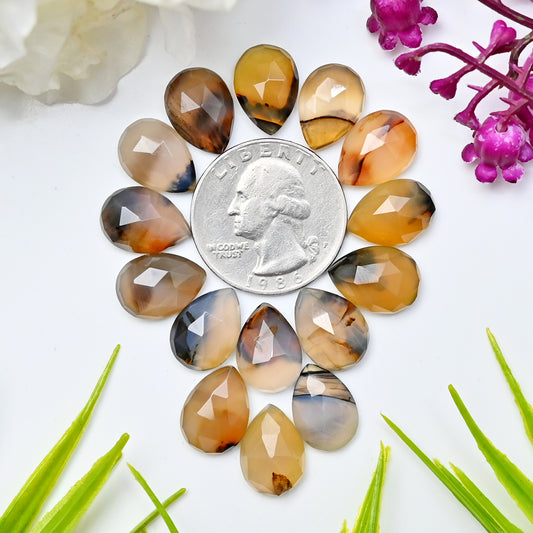Montana Agate Faceted Rose Cut Cabochon 10X14mm
