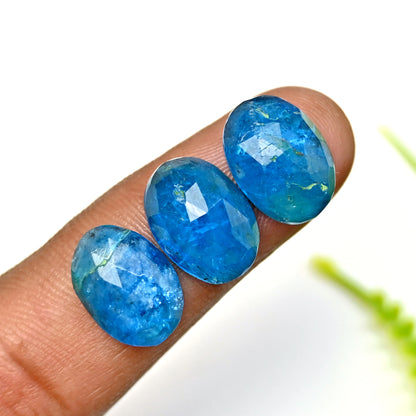 42.36cts Neon Apatite Rosecut Cabochon 10x14mm Oval Shape AA Grade Gemstone Parcel - Total 10 Pcs