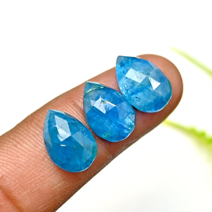 62,56 ct Neon-Apatit, Rosenschliff-Cabochon, 9 x 13 mm, Tropfenform, Edelstein der Güteklasse AA, Paket – insgesamt 15 Stück