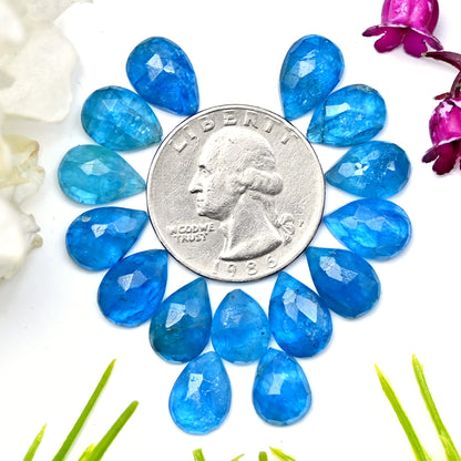 45cts Neon Apatite Rosecut Cabochon 8x12mm Tear Drop Shape AA Grade Gemstone Parcel - Total 15Pcs