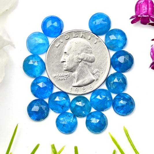 32.55cts Neon Apatite Rosecut Cabochon 8mm Round Shape AA Grade Gemstone Parcel - Total 15Pcs