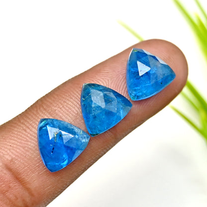 42.5cts Neon Apatite Rosecut Cabochon 10x10mm Trillian Shape AA Grade Gemstone Parcel - Total 15 Pcs