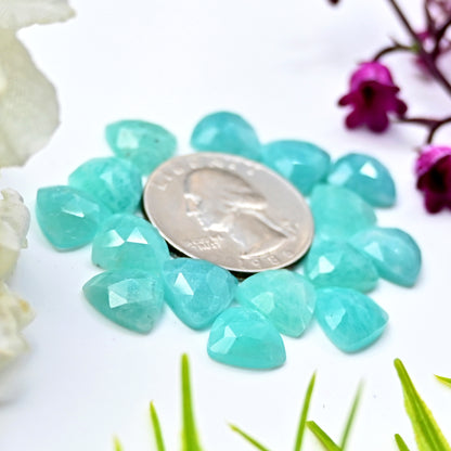 42.1cts Amazonite Rosecut Cabochon 10X10mm Tear Drop Shape AA Grade Gemstone Parcel -Total 15 Pcs