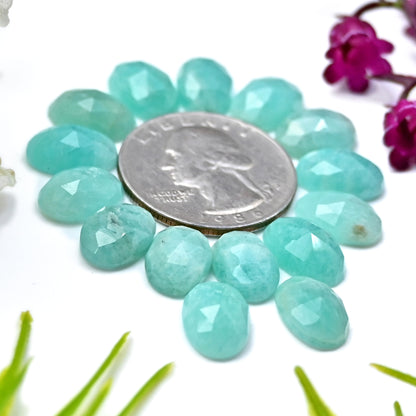 45.45cts Amazonite Rosecut Cabochon 8X12mm Oval Shape AA Grade Gemstone Parcel -Total 15 Pcs